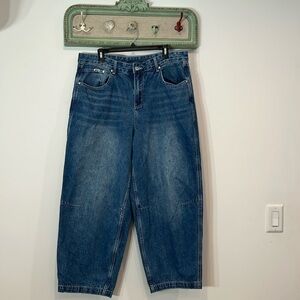 The ragged priest BAGGY GOLIATH DENIM blue JEAN plus size 34 women’s